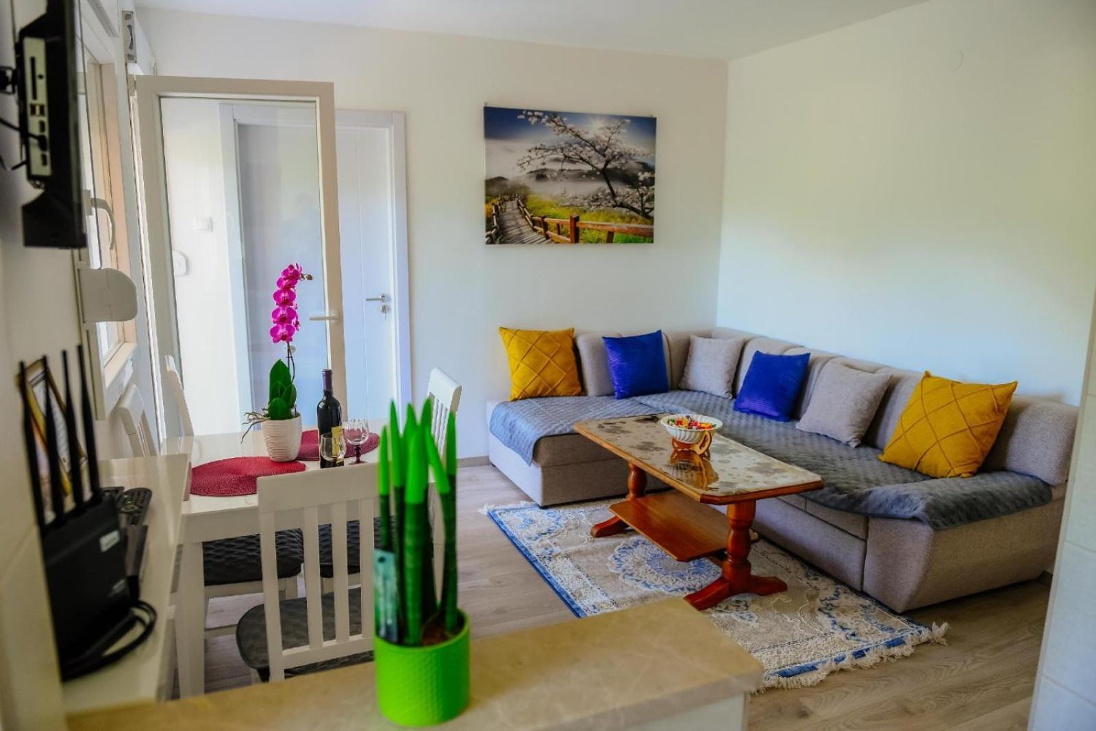 Apartment Panorama Pluzine
