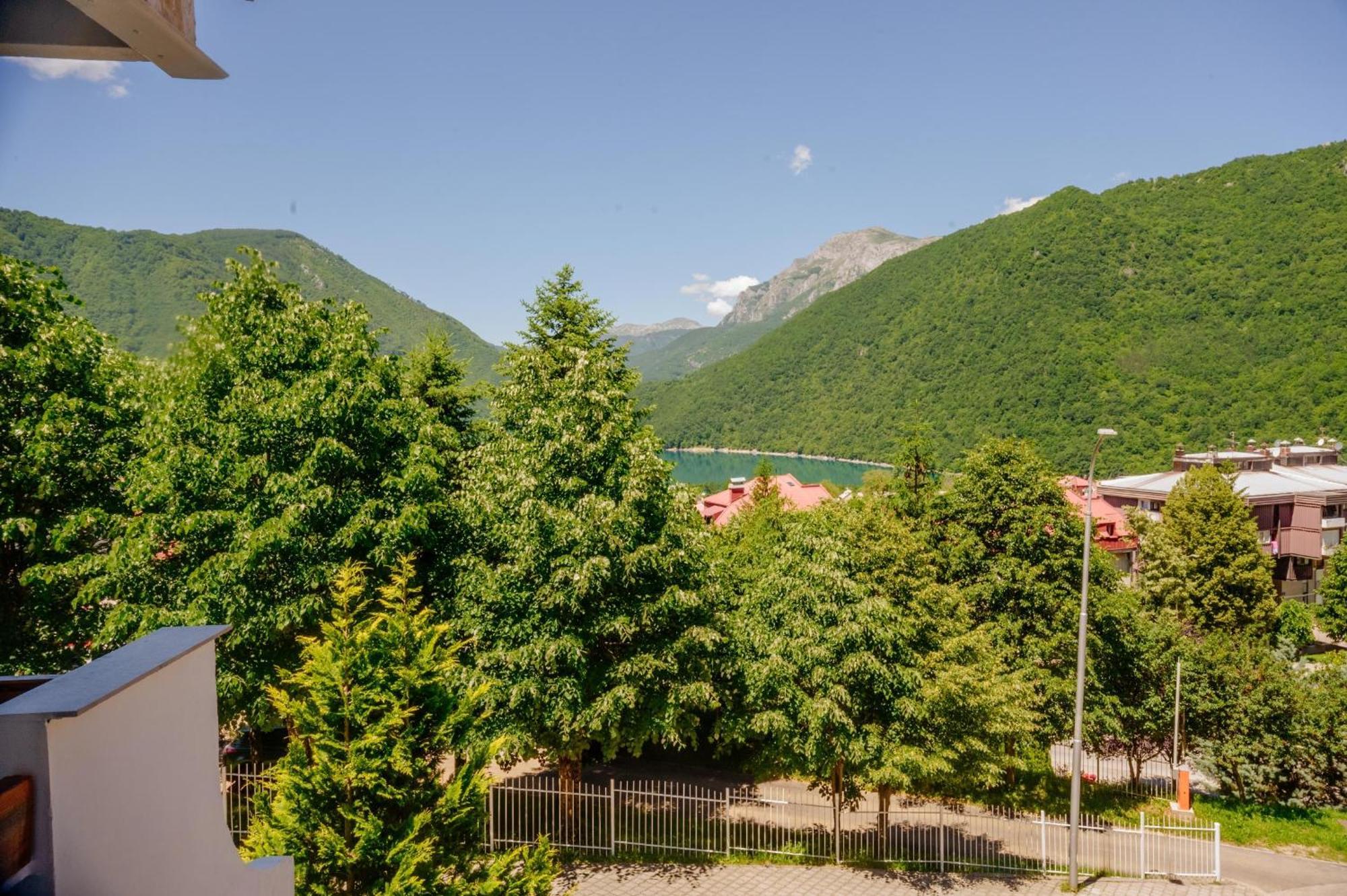 Panorama Apartment Pluzine